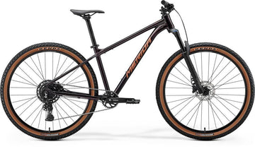 Terreng – hardtail